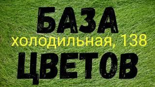 Купить гортензии в букетах недорого. Цены на цветы дешевые