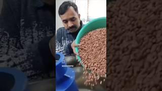 how to make groundnut oil | wood pressed groundnut oil | cold pressed oil #oilextraction peanut oil