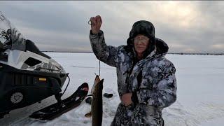 Рыбалка на Таёжных озёрах. Жерлицы. Продолжение рассказа. Щуки.