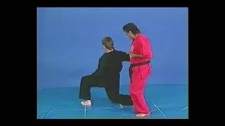 Tony Leo Martial Arts Master - Quick Highlights