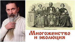 Трехлебов А.В. Многоженство и эволюция