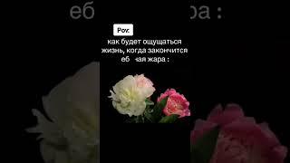 Мемасы #юмор #смех #приколы #смешно #прикол #ржака #мемы #мем #смехдослез #shorts