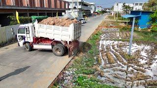 Start A Perfect Landfill Task Using Powerful Dozer! & Dump Truck 5Ton Pour Soil | Unloading Video