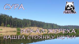 Русская рыбалка 4. Сура. Фарм. Спиннинг. Щука. Колебалки.