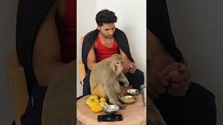 Geeta Akash Monkey Rani eat together #ranivlogrbl #youtubeshorts #shorts