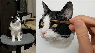 Master class: How To Draw A Cat