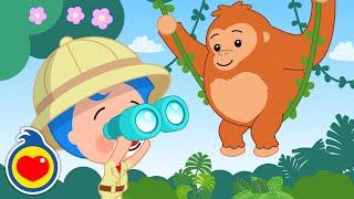 El Orangután - Homenaje al Gran Chico Novarro  Plim Plim  Canciones Infantiles