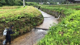 小さな水路の階段で釣りしてみた！