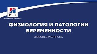 Вебинар на тему: “Физиология и патологии беременности мелких домашних животных”.