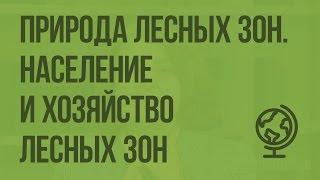 Природа лесных зон. Население и хозяйство лесных зон. Видеоурок по географии 8 класс