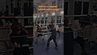 Работа по заданию. Атака прямые удары руками #wushu #boxing #mama #sports #shorts