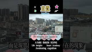 直觉 【晚年智慧學院】