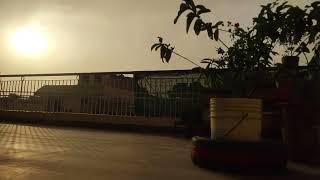 Light Rain | Sunset | Soft Wind | Birds/Squirrel Sound | Relax | Study | Meditate | Audio Enhanced