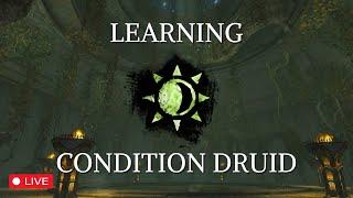 Learning Condition Damage Druid | EU Open World then Strikes | 26-Jan-2025 Livestream