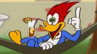 Woody Needs A Vacation! |  Woody Woodpecker