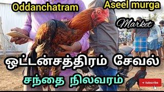 Oddanchatram aseel murga market #namma ooru santhai#சேவல் சந்தை ஒட்டன்சத்திரம்