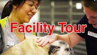 HD Tour: The Animal Emergency & Specialty Hospital