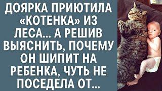 Доярка приютила «котенка» из леса… А решив выяснить, почему он шипит на ребенка, чуть не поседела от