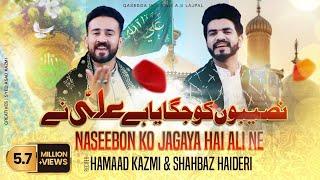 Naseebon Ko Jagaya Hai Ali Ne - Hammad Kazmi & Shahbaz Haideri | New Qasida 2020