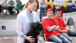 World Skills Russia 2015 Kolomna