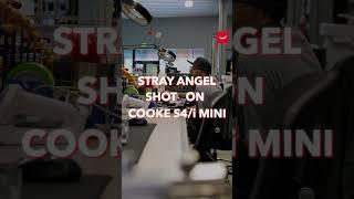 Stray Angel shot on Cooke Lenses 