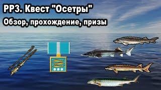 Русская рыбалка 3. Квест "Осетры". Обзор, прохождение, призы за квест.