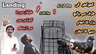 کھوکھر کی طرف سے چیڑی مارو کو پیغام  | Nasir pigeon club  | Khokhar pigeon club