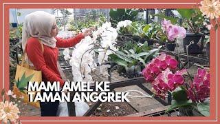 Ke Taman Anggrek Bersama Mami Amel | Part 2 | Edisi Planttour