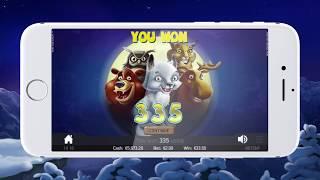 NetEnt Wolf Cub Slot Review: Big Wins, Jackpots, Bonus Rounds