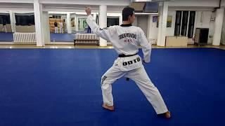 Pumse-8 (Poomsae Taegeuk Pal Jang)