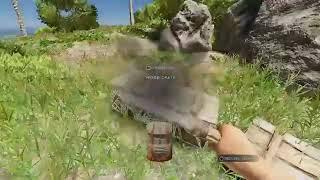 Stranded deep (gameplay)