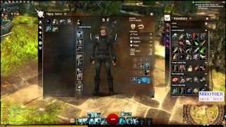 Guild Wars 2 HD | How to Dye Armor and Town Clothes