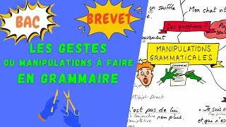 MANIPULATIONS ou GESTES À CONNAITRE EN GRAMMAIRE pour le brevet, l'oral du bac de français 2025