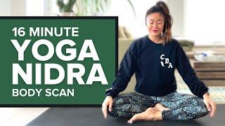 Yoga Nidra Body Scan - 16 minute FULL BODY relaxation meditation