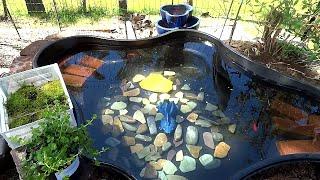 DIY Budget Friendly Pond Island and Water Planters....And The Bees are Here!