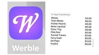 Werble a photo to animation app