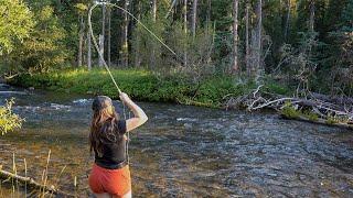 Thousands Drive Past This Stream, and It's Untouched | Catching Wild Montana Trout