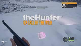 theHunter Call of the Wild - охота на медведя или лося...