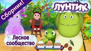 Лунтик -  Лесное сообщество   Сборник 2017 года