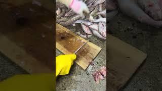 The Best Way to Grill Boneless vs Bone-In Meat. #cactusfoodies #shorts #meat #fish