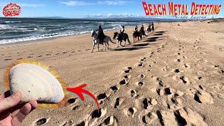 Beach Metal Detecting Moss Landing, California! Nokta Legend!