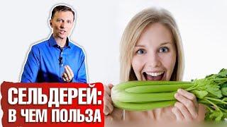 Чем полезен сельдерей ► Какая польза сельдерея для организма? 