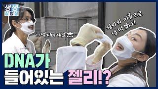 내가 원하는 DNA를 찾아주는 은행이 있다!?ㅣ한국인간유전자은행ㅣ생생실험실 ep.1