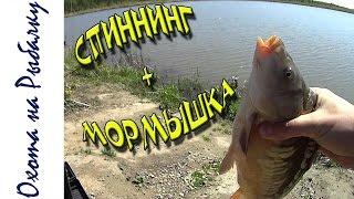 Ловля карпа и карася спиннингом на мормышку первые шаги (мормышинг)