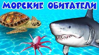 Обитатели морей и океанов  Развивающие мультики  Морские животные  Подводный мир