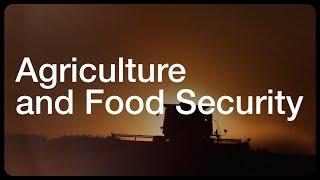 Agriculture and Food Security