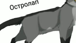 ГЕРОИ СУМРАЧНОГО ЛЕСА!