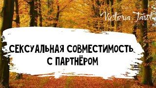 Ваша сексуальная  совместимость с партнёром. Насколько вы совместимы? Расклад таро 