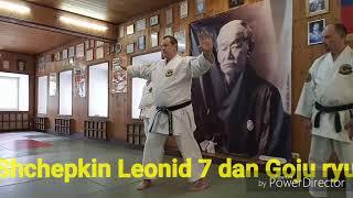 Suparinpei kata (Suparimpei) bunkai application from Sensei Shchepkin Leonid 7 dan Goju ryu OGKK