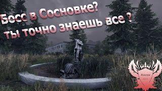 Босс в Сосновке | Will to live Online | А вы знали ? | Пранк | MSK 3